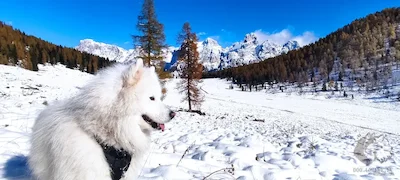 Paesaggi mozzafiato sia d'inverno...