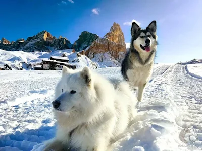 In possa sotto al Cimon della Pala a Rolle