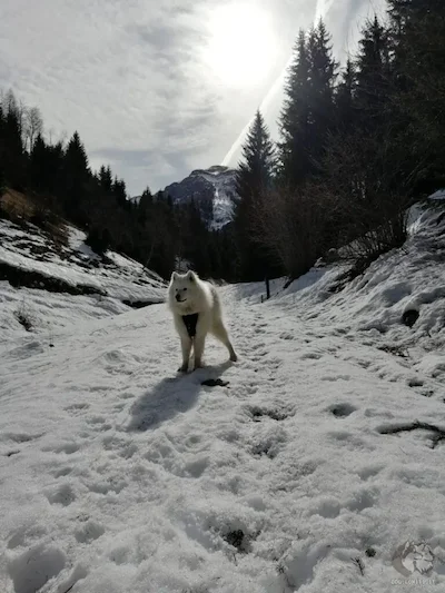 Eisern che ci aspetta... sulla neve!